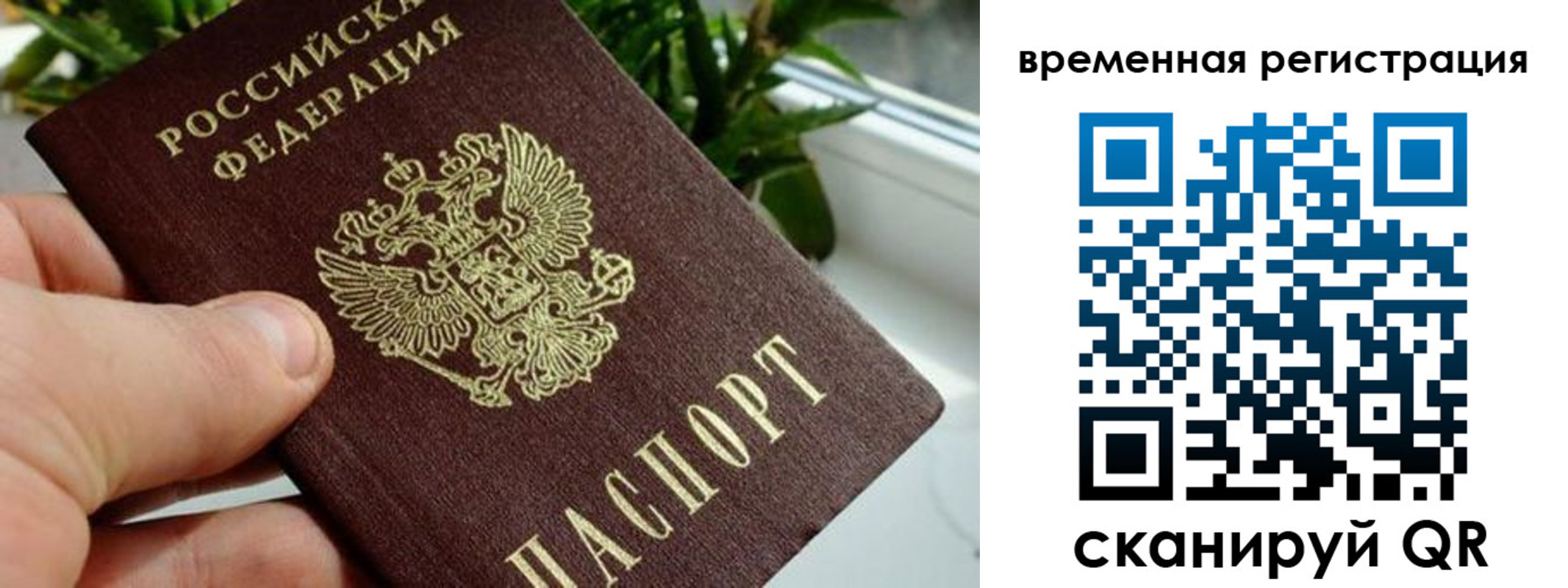 прописка поиск в Октябрьске